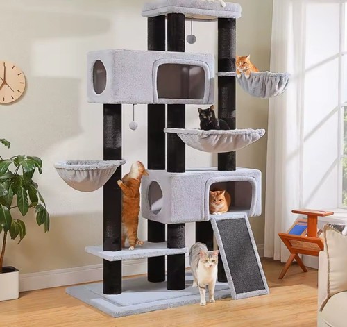Arbre chat xxxl pour - pour, maine
