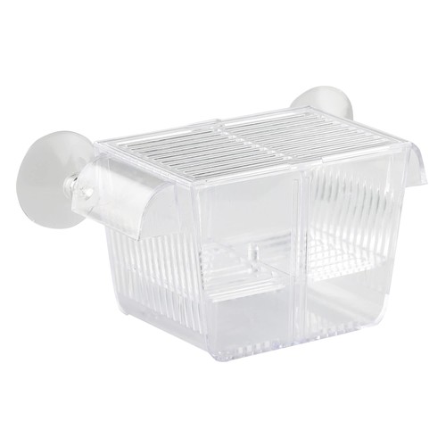 Bassin elevage aquarium - d'elevage,