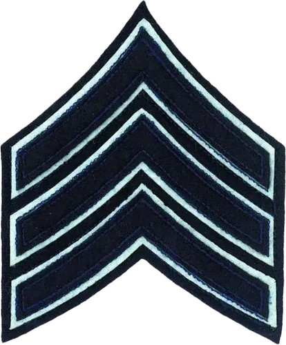 Chicago police sergeant - chicago,