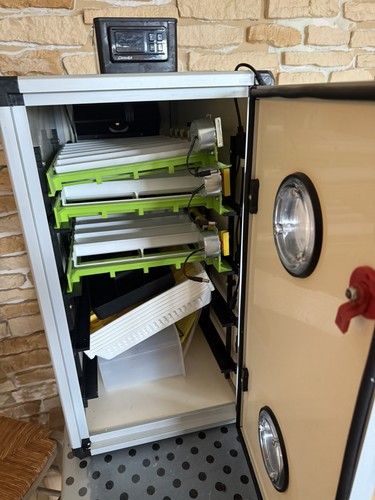 Couveuse oeufs automatique - couveuse,