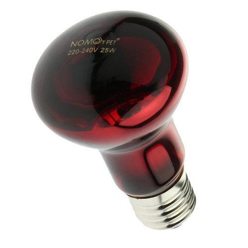 Lampe infrarouge verre - infrarouge, en