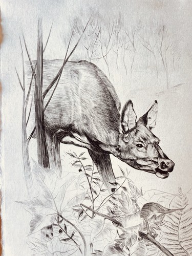 Paul leuquet gravure au - leuquet,