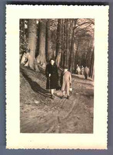 Belgium, Rouge-Cloître Vintage Silver Print.  7x10 C Silver Print