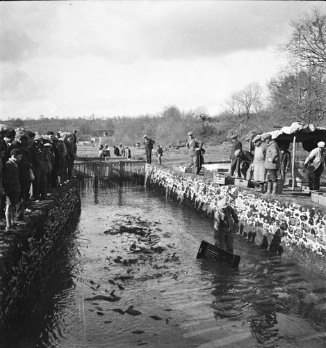 Négatifs 1934 - x,