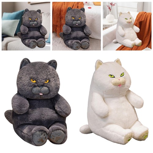 Chat peluche british - chat,