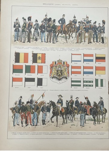 Belgique armes drapeaux armee - ,