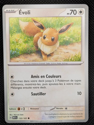 Carte pokemon evoli français - carte,