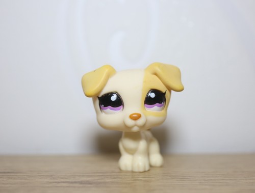 Littlest petshop jack - littlest,