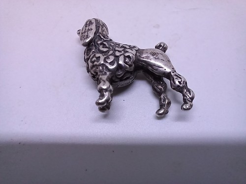 Miniature chien caniche - , en