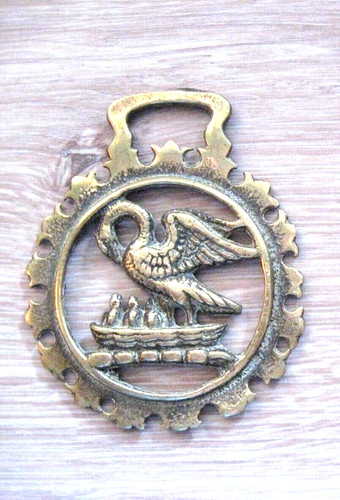 Horse brass laiton - horse, en