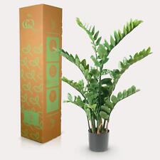 Plantes Artificielles Zamioculcas Palmier 110 CM - Facile Et Evergreen pour
