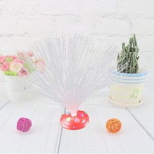 Fibre Optique Lumiere Lumière