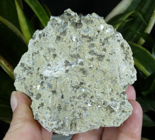 Pyrite cubes sur matrice - sur,