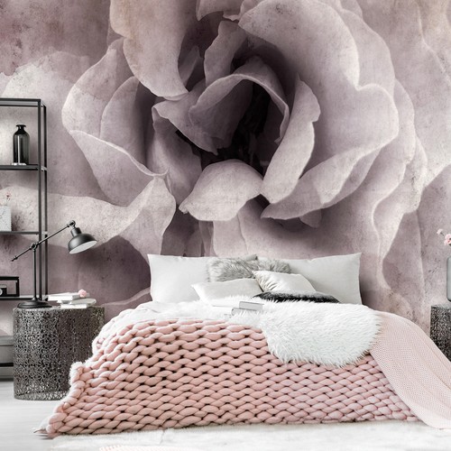Rose papier peint - papier,