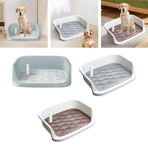 Litière pour chiens bac - litière,