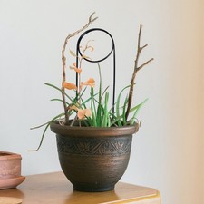  3 Pcs Treillage Plantes