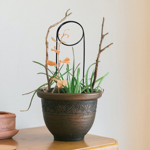 Pcs treillage plantes - , 3