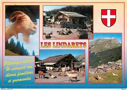 Carte postale les - -,