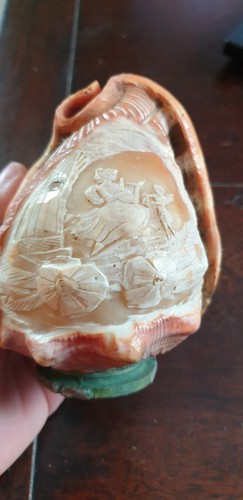 Lampe coquillage camee - lampe,