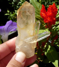 Large Natural Quartz Crystal 8x4.5cm Minerals Collection Stone Lithotherapy