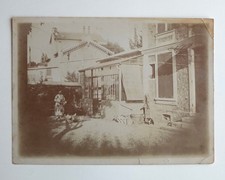 Scène cour femme poules véranda serre - Photo ancienne albuminé