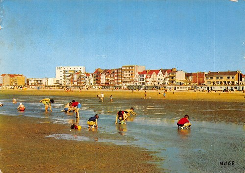 Bray dunes cueillette des - 59,