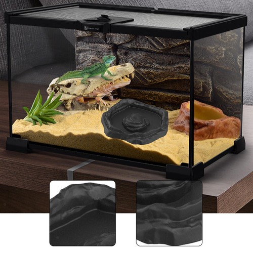 Mangeoire pour reptiles - pour,