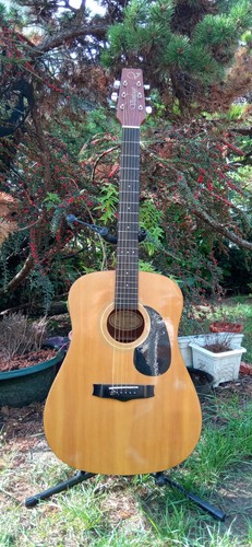 Guitare vantage folk - guitare,