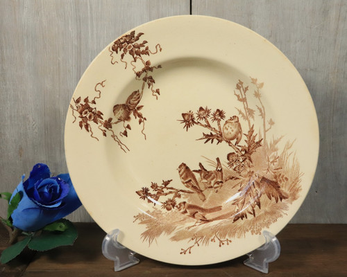 Assiette creuse ancien - creuse, en