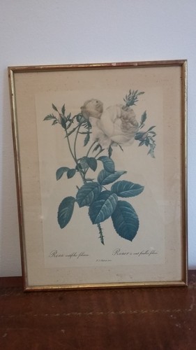Ancienne gravure encadree - ancienne,