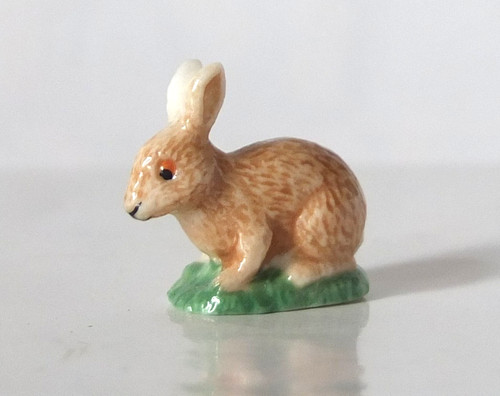 Feve rabbit garenne - feve,