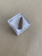 Rostre De BELEMNITE fossile _