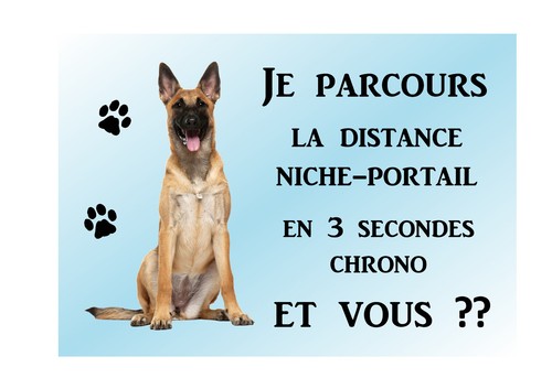 Plaque alu attention - plaque, chien