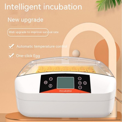 Couveuse automatique 80w - couveuse,
