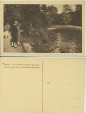 PARIS -LES DUCKS AU BOIS DE BOULOGNE