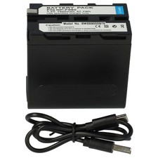 Batterie pour Sony AX2000E