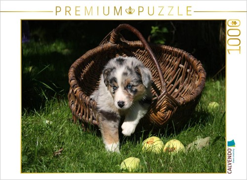 Puzzle calvendo chiot berger - calvendo,