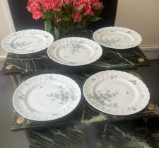 Lot de 5 assiettes plates 22