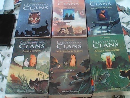 Guerre des clans erin - guerre,