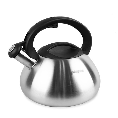 Bouilloire inox sifflet - inox, à