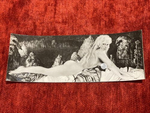 Féminin actrice brigitte - nu,