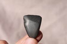 Préhistoire Néolithique