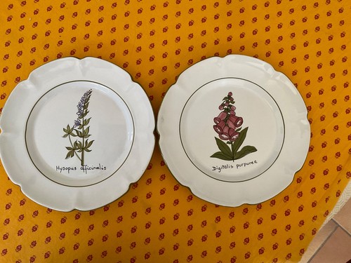 Faience charolles 2 - faience,