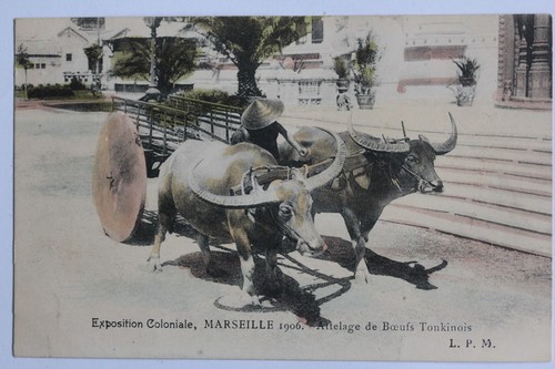 Cpa marseille exposition - cpa,