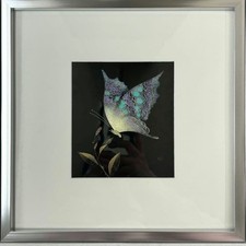 Panneau papillon en laque