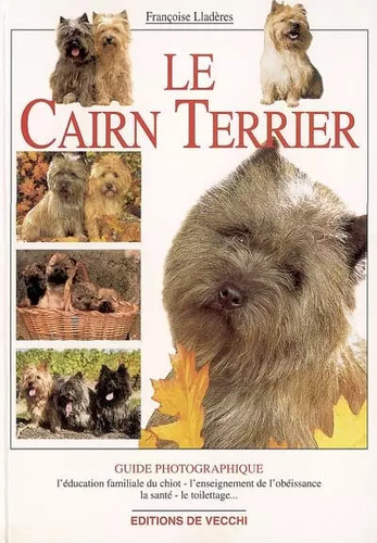 Cairn terrier françoise - cairn,