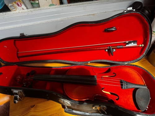 Violon bois fruitier - violon, en