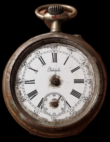 Pocket watch walk not - watch, 4.8