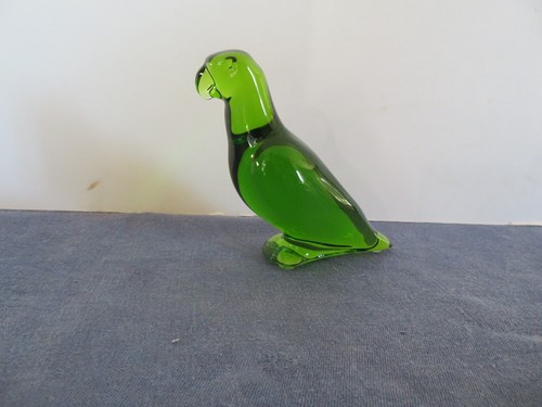 Perruche perroquet en - ou,