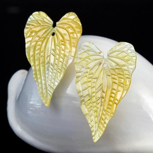 Caladium feuille oreille paire - caladium,